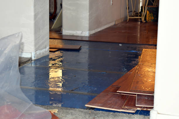 Professional Water Damage Restoration technician working in Cecil, OH